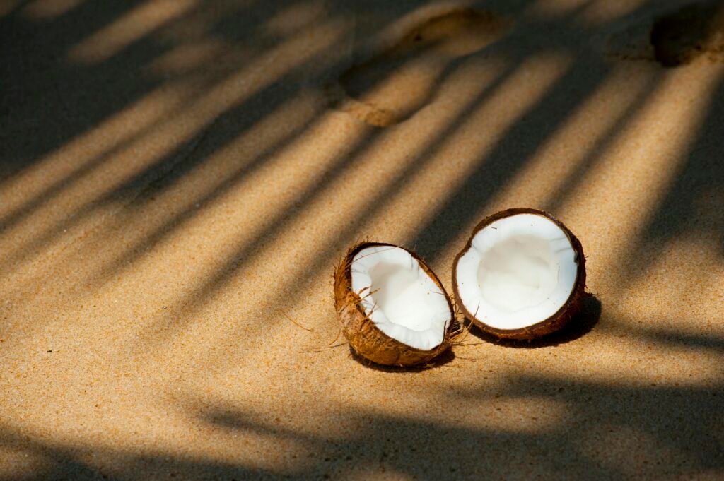 Coconut halves resting on a sunlit sandy beach, casting shadows from palm fronds.