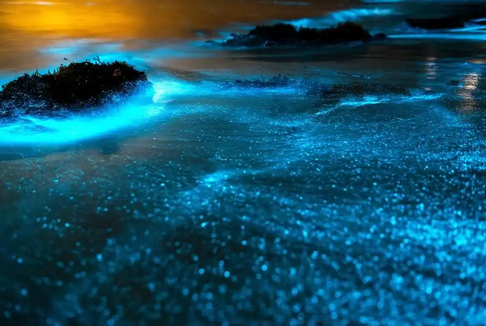 Bioluminescent Bays, one of Earth's natural wonders