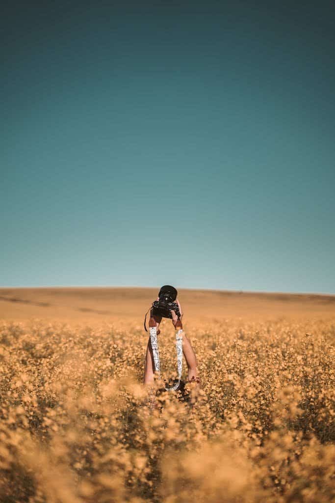Photographer standing in a yellow flower field in Cape Town, capturing the beauty of nature.
